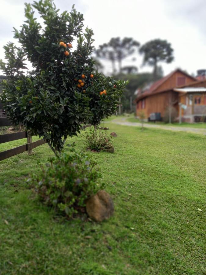 Sitio Cabanas Da Lu Canela Kültér fotó
